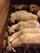 547682_10152549581000352_1698886915_n