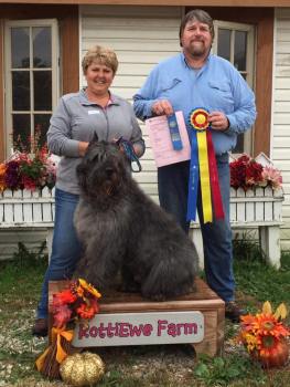 Kim and Sterling HIT sheep