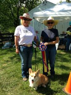 Rojo and tracy HIT corgi nat.