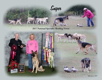 Parciak 11x14 collage